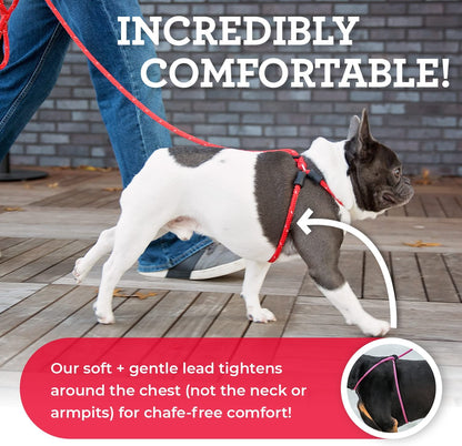 No Pull Dog Harness and Leash Set, anti Pull Dog Harness for All Breeds and Sizes, One-Piece Cushioned Rope Design Safely Prevents Escaping and Pulling (Small/Medium, Red/Reflective)